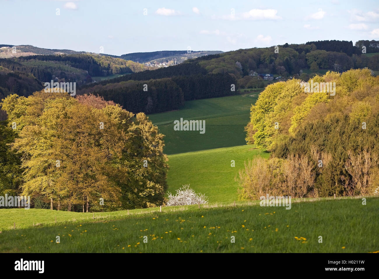 Paysage vallonné de l'Oberbergisches Land au printemps, l'Allemagne, en Rhénanie du Nord-Westphalie, région du Bergisches Land, à Lindlar Banque D'Images