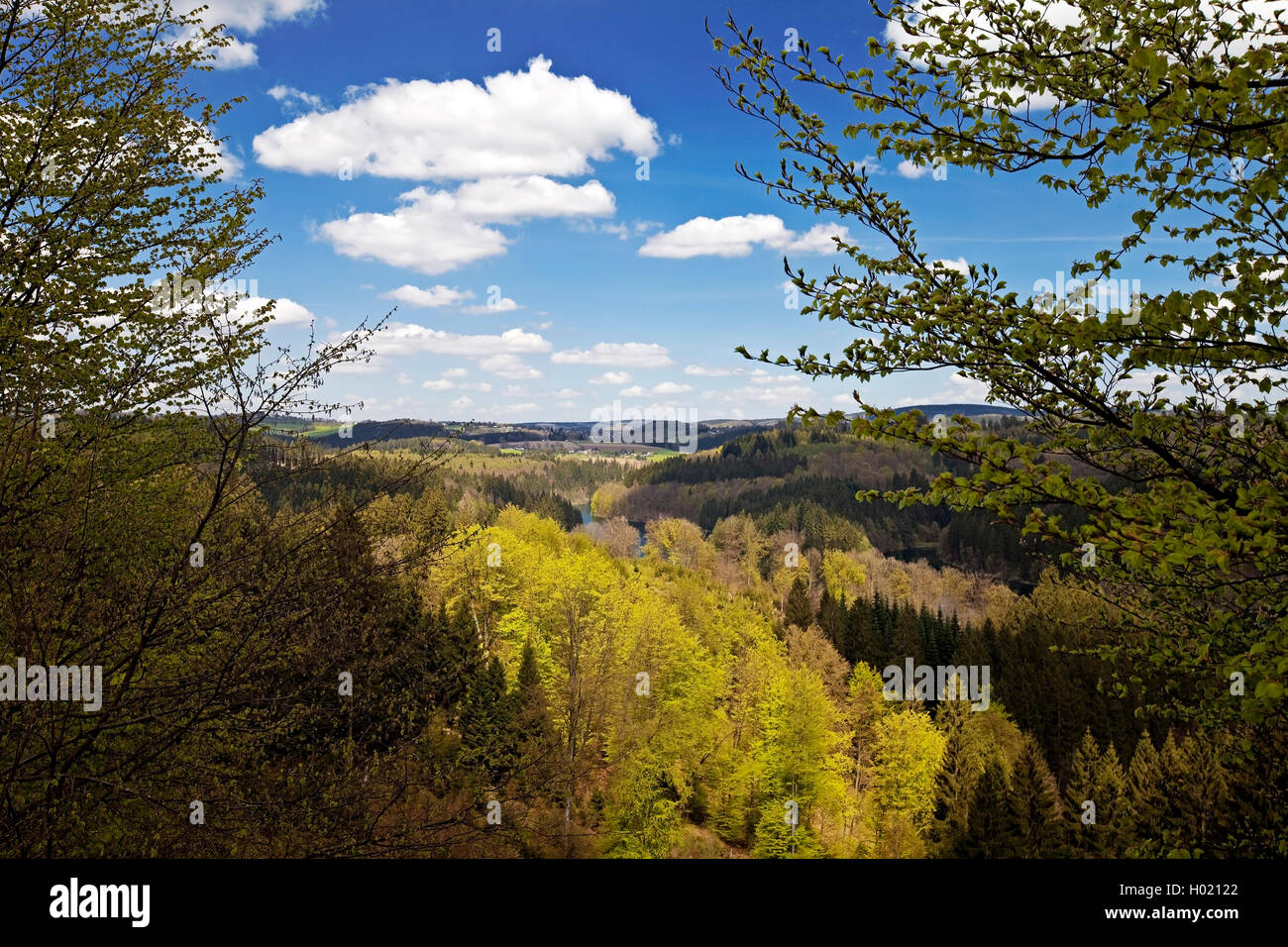 Oberbergisches Land près de lac de stockage Genkeltalsperre au printemps, l'Allemagne, en Rhénanie du Nord-Westphalie, région du Bergisches Land, à Marienheide Banque D'Images