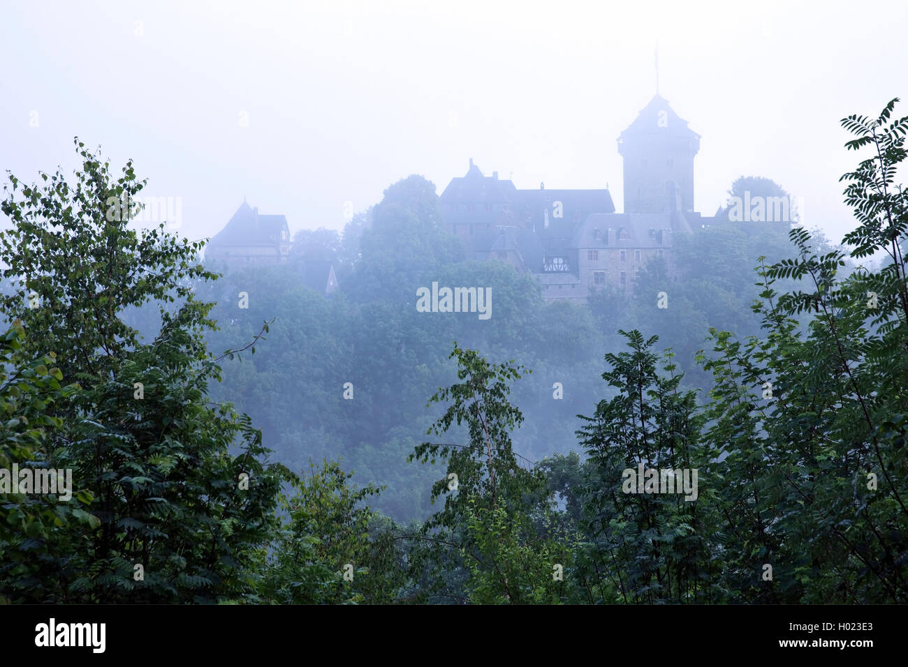 Château Burg dans la brume, l'Allemagne, en Rhénanie du Nord-Westphalie, région du Bergisches Land, à Solingen Banque D'Images