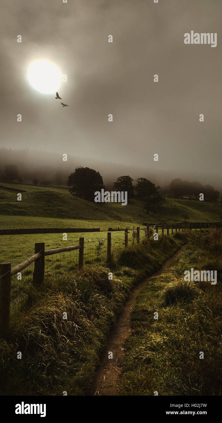 Belle aube Yorkshire paysage dale Banque D'Images