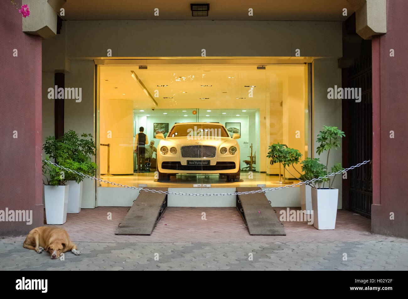 MUMBAI, INDE - 10 janvier 2015 : en face de couchage Chien boutique Bentley Banque D'Images