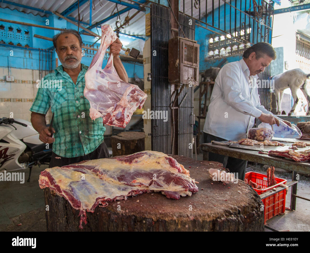 MUMBAI, INDE - 11 janvier 2015 : Butcher montre morceau de mouton tout en collègue viande packs à côté de lui. Banque D'Images