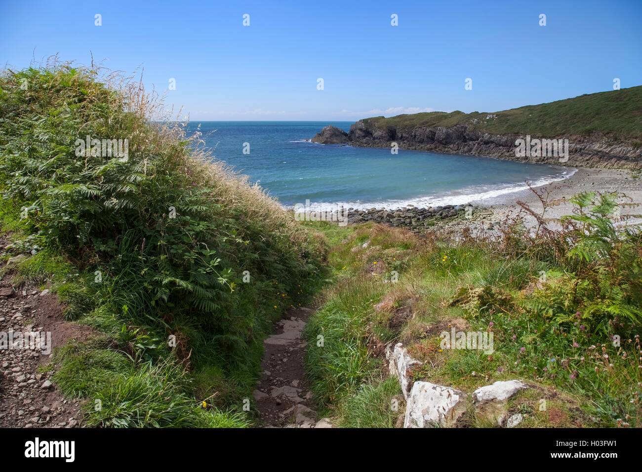 Aber Mawr, Pembrokeshire, Pays de Galles, Grande-Bretagne Banque D'Images