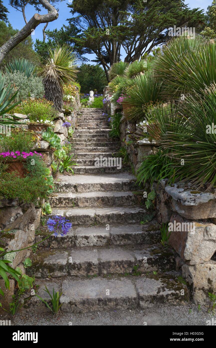 Jardins de l'abbaye, Tresco, Îles Scilly, Angleterre Banque D'Images