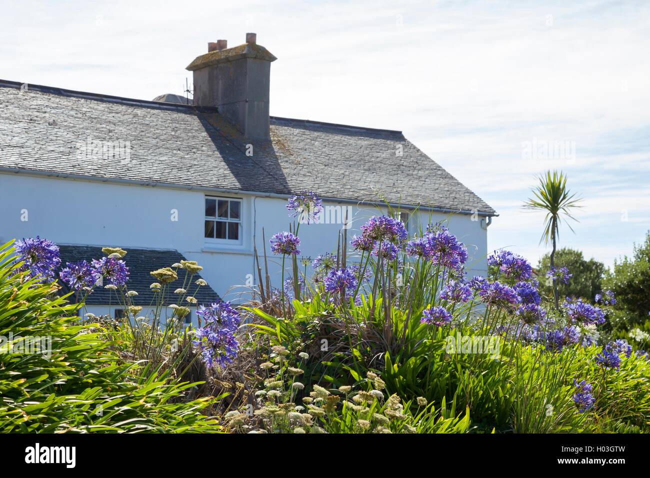 Scillonian cottage, Tresco, Îles Scilly, Angleterre Banque D'Images