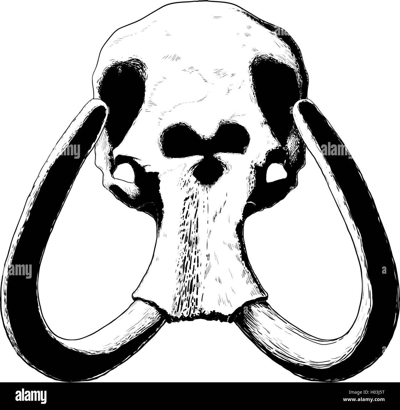 Crâne de mammouth noir Illustration de Vecteur