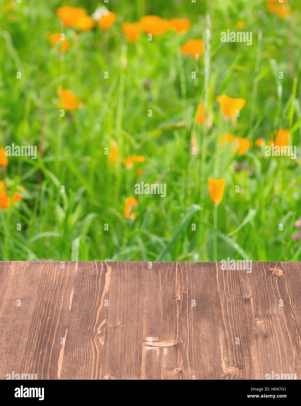 Table en bois sur fond vert Banque D'Images