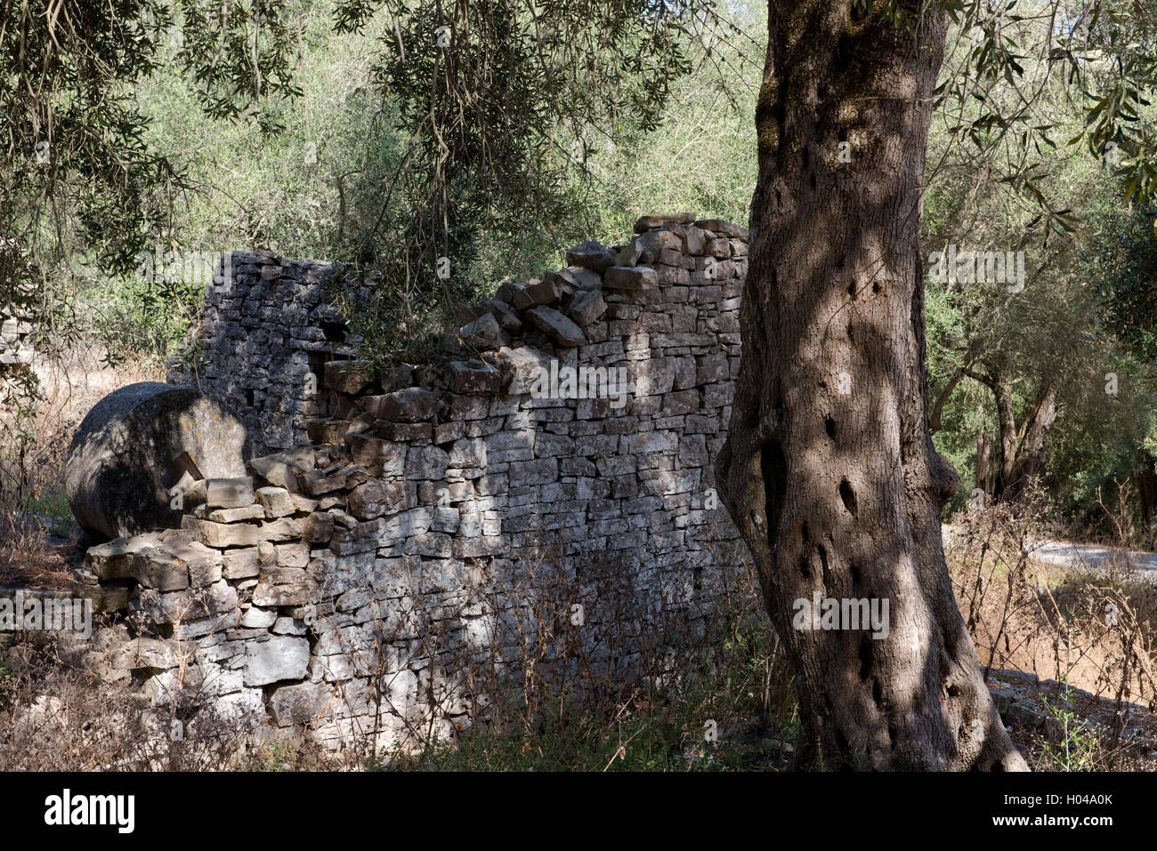 Les ruines d'une ancienne presse à olives sur l'île de Paxos, îles Ioniennes, îles grecques, Grèce, Europe Banque D'Images