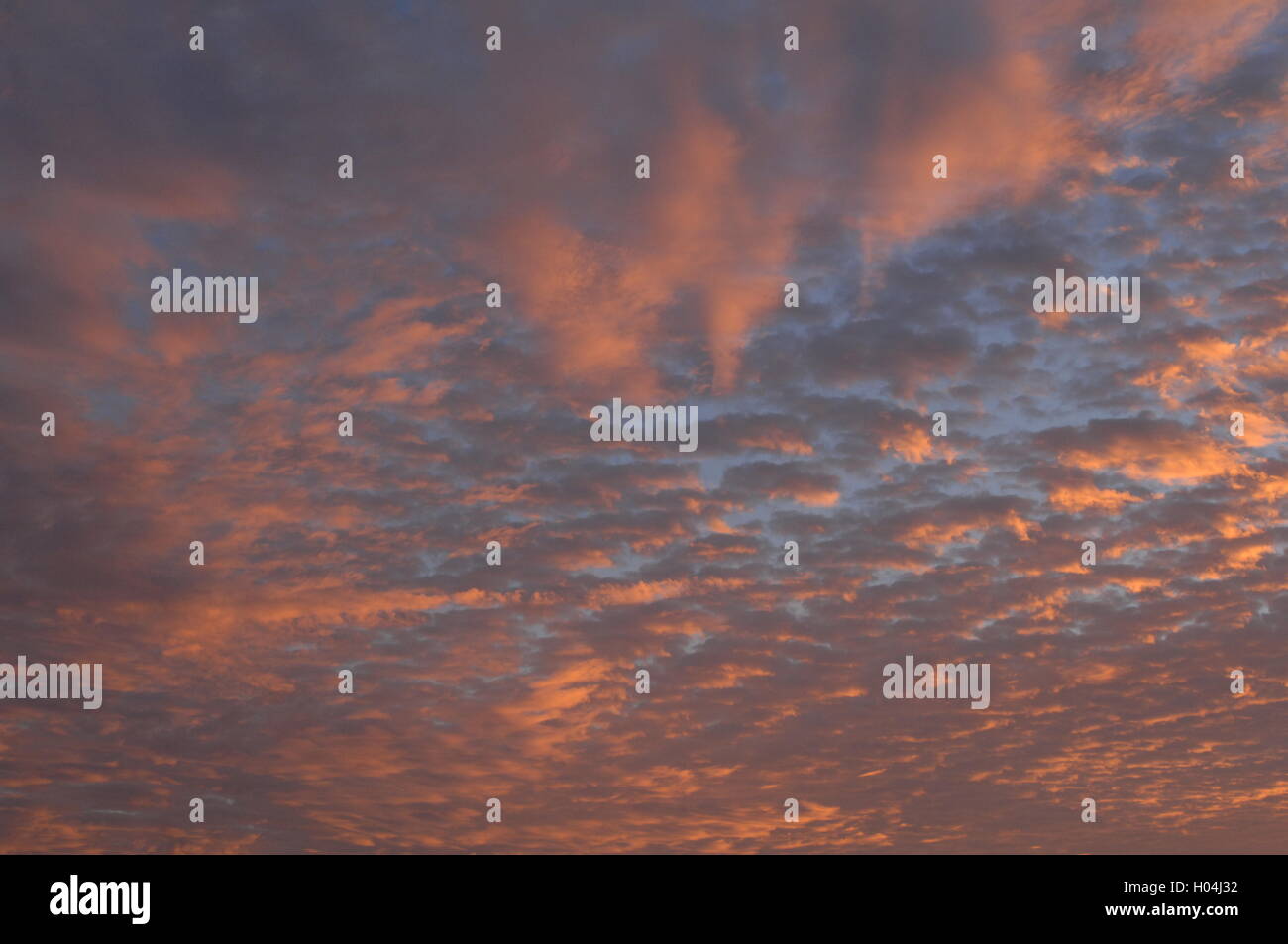 Coucher de soleil / Lever du soleil Ciel avec nuages et rayons de soleil / dramatique, d'inspiration, belle, sereine, impressionnant, bleu orange et rose Banque D'Images