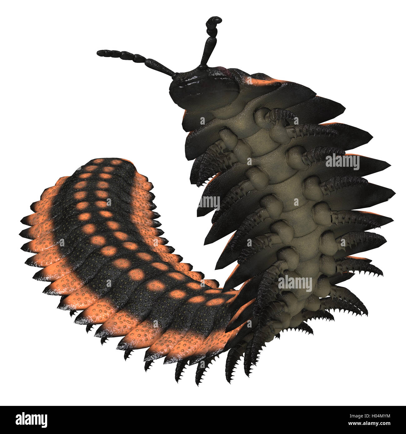 Arthropleura était un géant d'invertébrés insectes qui vivent en Amérique du Nord et en Écosse pendant la période carbonifère. Banque D'Images