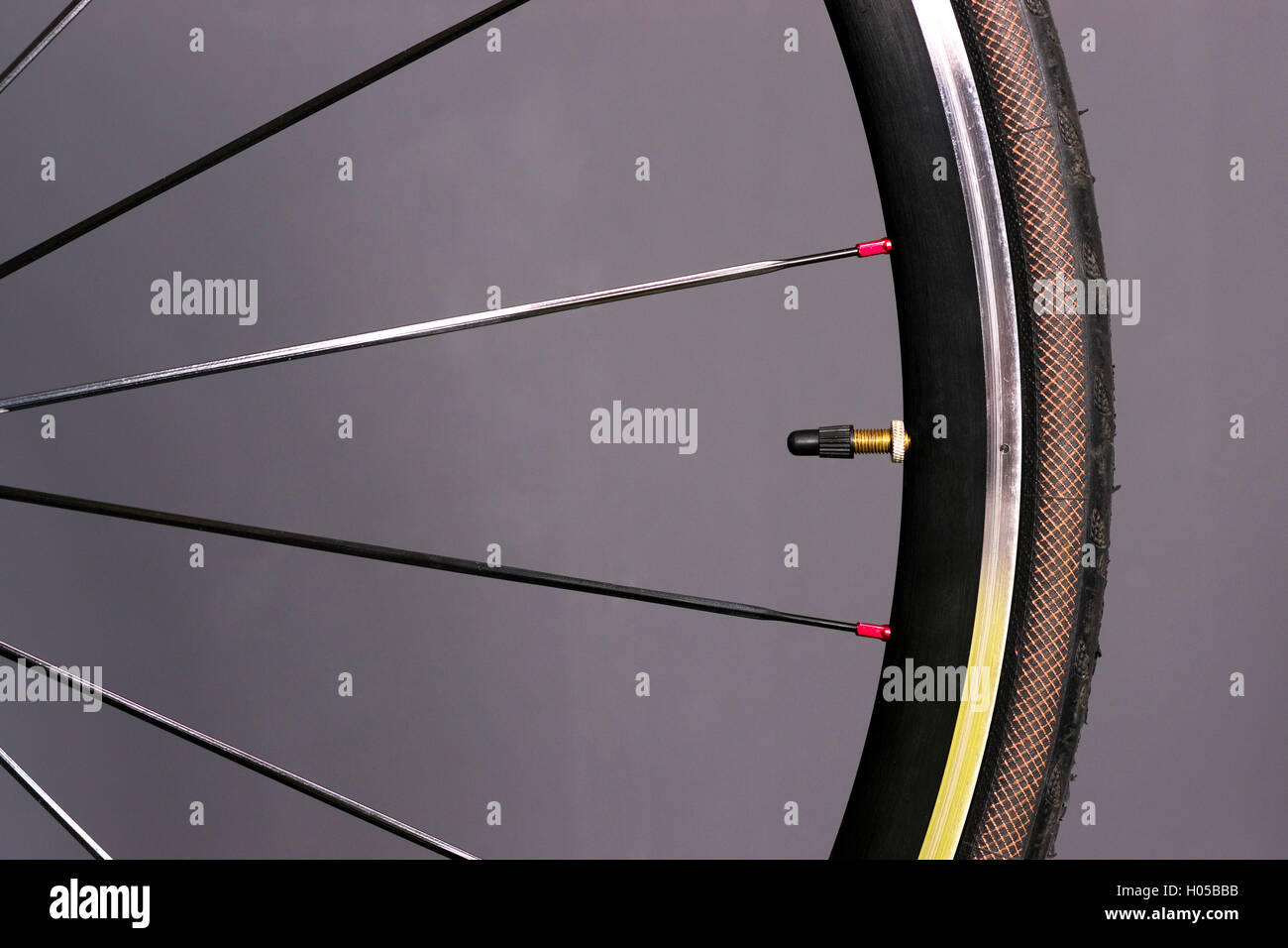 Roue de vélo Vélo monté des pneus en caoutchouc métal rayons d'engrenage Banque D'Images