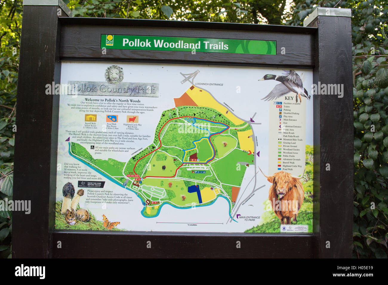 Pollok Country Park information carte des sentiers forestiers Banque D'Images
