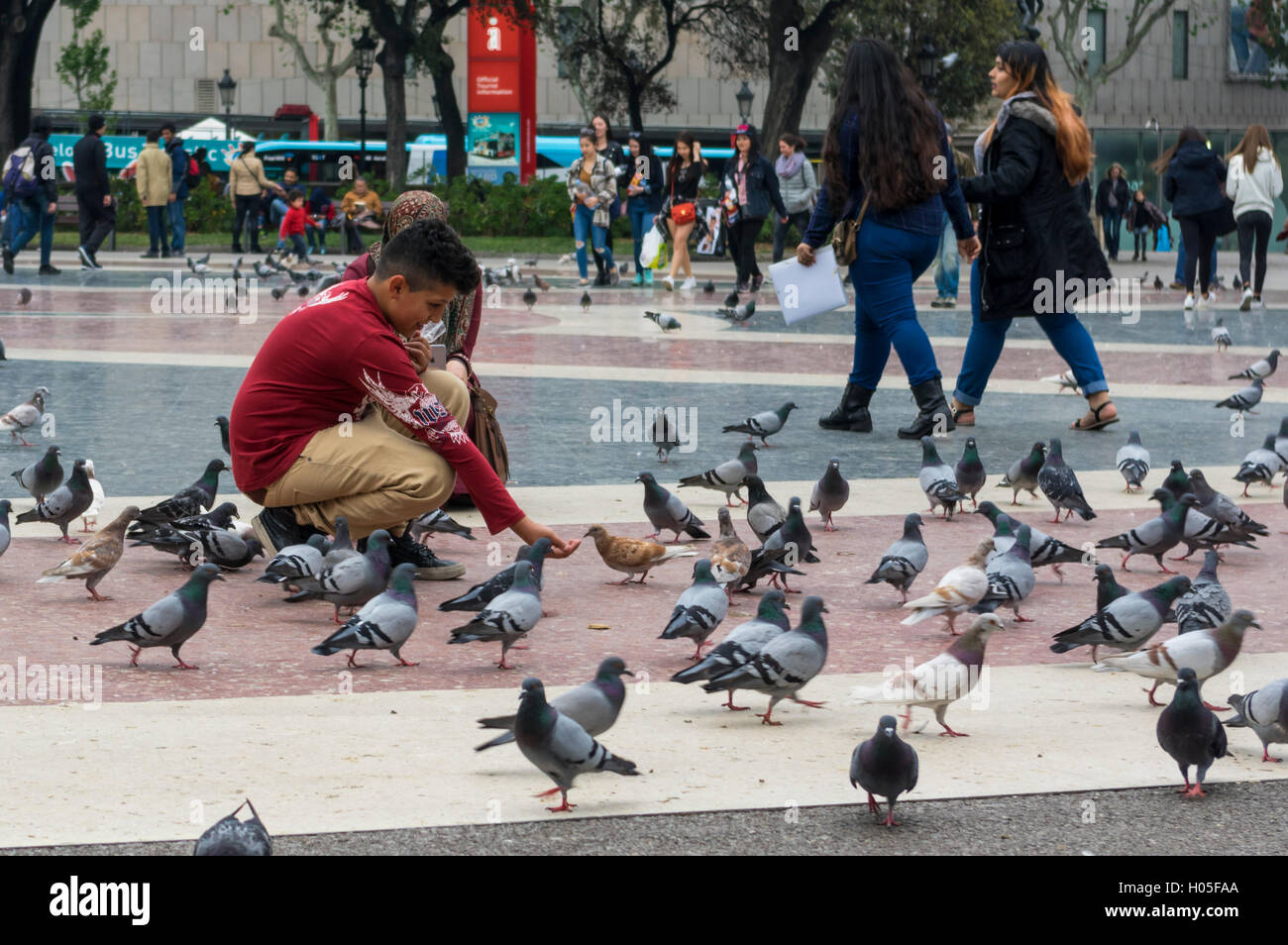 Garçon musulman nourrir les pigeons de la rue de Barcelone. Banque D'Images