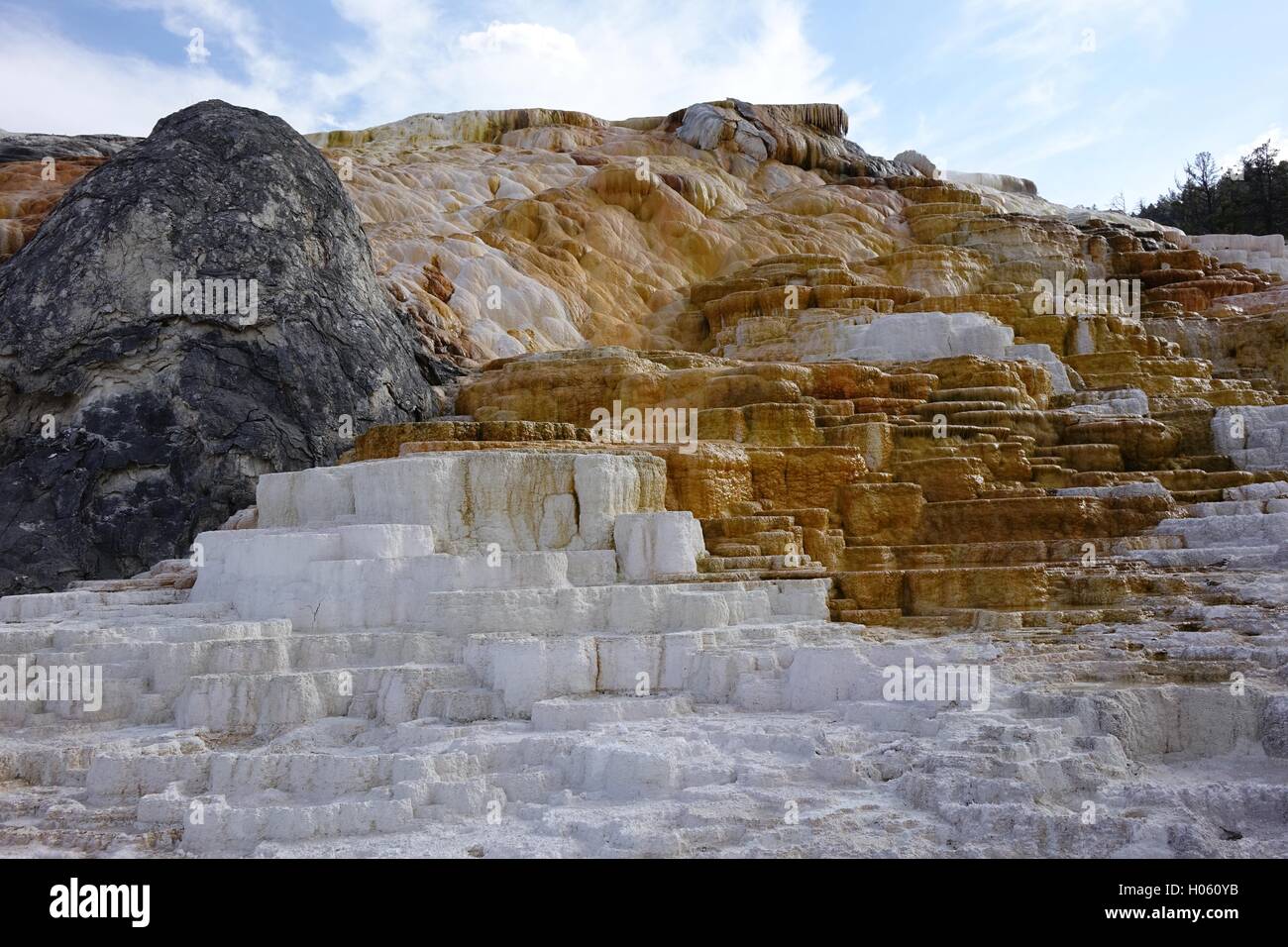 Les dépôts de travertin à partir de sources chaudes, des terrasses inférieures à Mammoth Hot Springs, Parc National de Yellowstone Banque D'Images