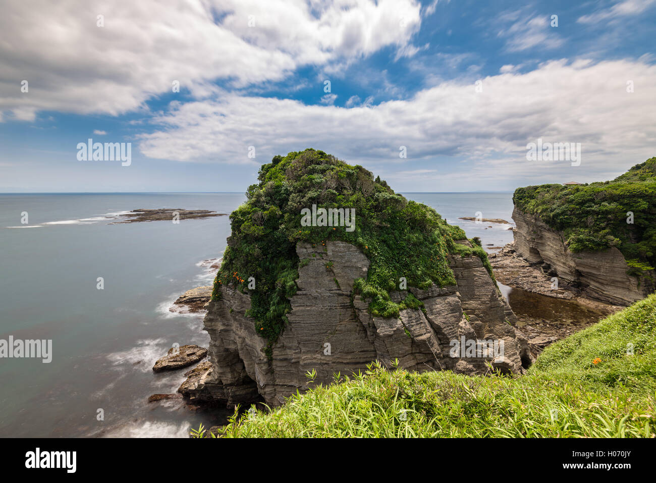 Matin, vue sur la mer de falaise Ubara, Chiba Prefecture, Japan Banque D'Images