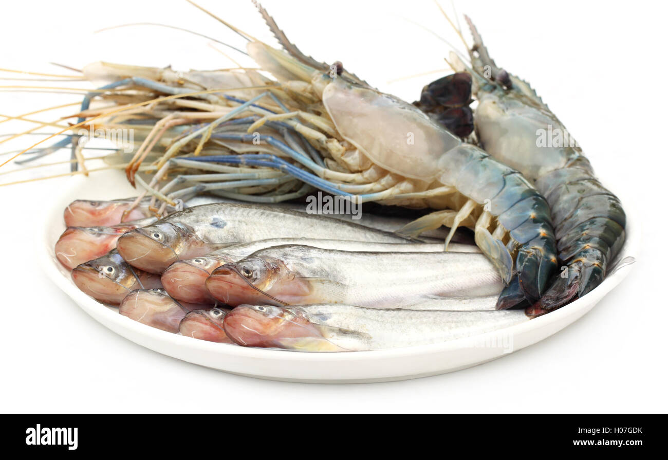 L'eau douce Poissons Pabda avec homard Banque D'Images