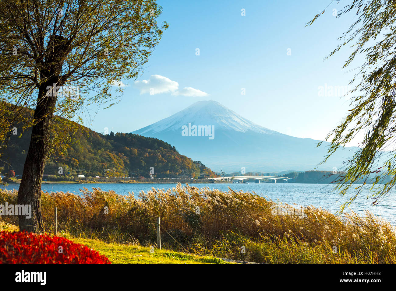 Mt. Fuji en automne Banque D'Images