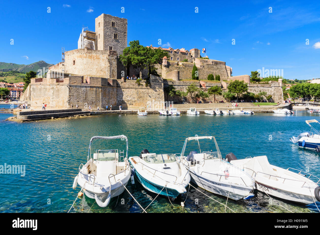 Le Château Royal donnant sur le petit port de Collioure, Côte Vermeille, France Banque D'Images