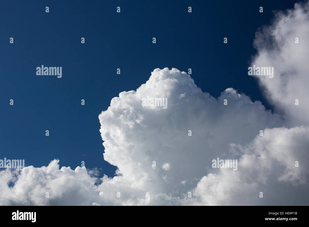 Blanc moelleux massive de nuages sur un ciel bleu Banque D'Images
