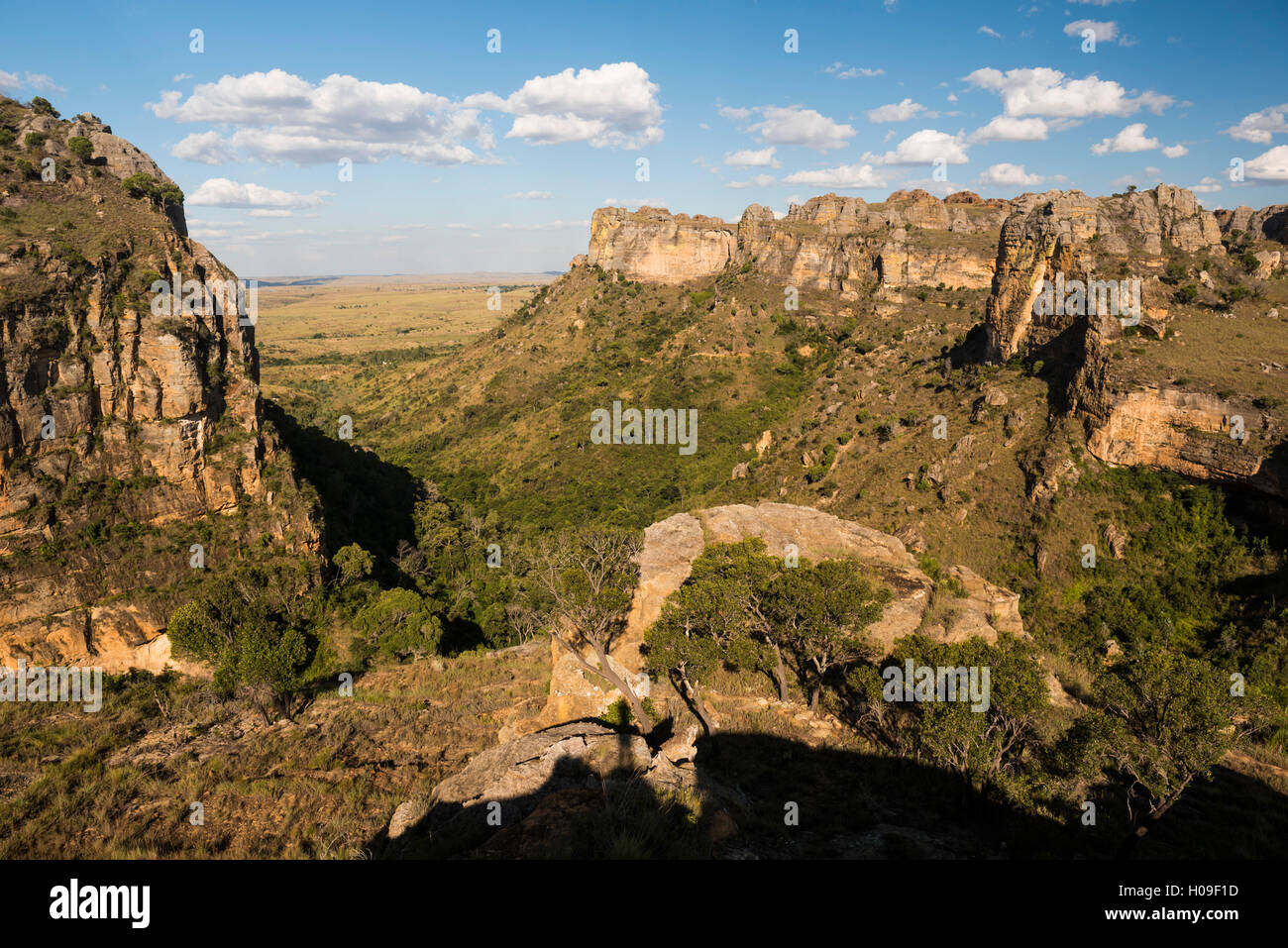 Canyon dans le parc national de l'Isalo au coucher du soleil, Région Ihorombe, sud-ouest de Madagascar, l'Afrique Banque D'Images