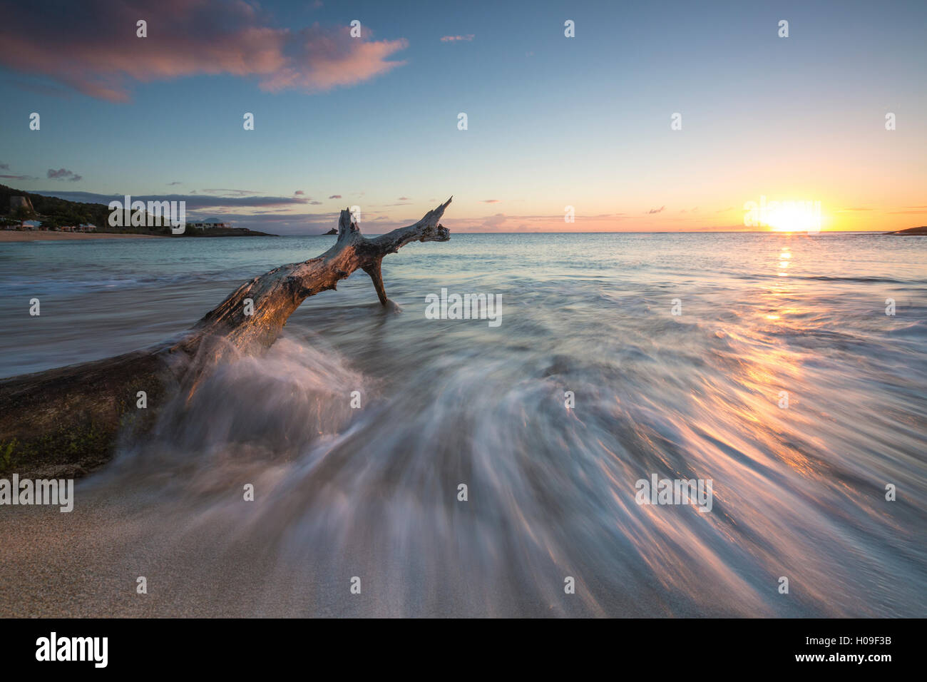 Vagues sur un tronc d'arbre sur la plage encadrée par le coucher du soleil des Caraïbes d'Eretmochelys imbricata, Bay, Antigua, Antigua et Barbuda, Iles sous le vent Banque D'Images