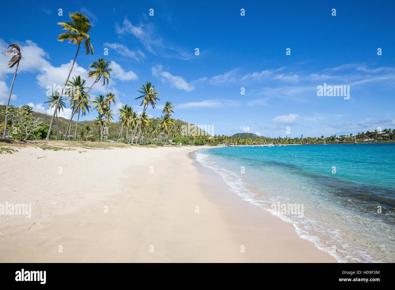 La longue plage entourée de palmiers et de la mer des Caraïbes, Morris Bay, Antigua-et-Barbuda, Antilles, îles sous le vent Banque D'Images