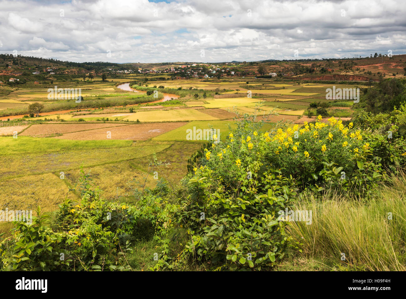 Paysage près de rizières de riz Antananarivo, Province d'Antananarivo, Madagascar, Afrique de l'Est Banque D'Images