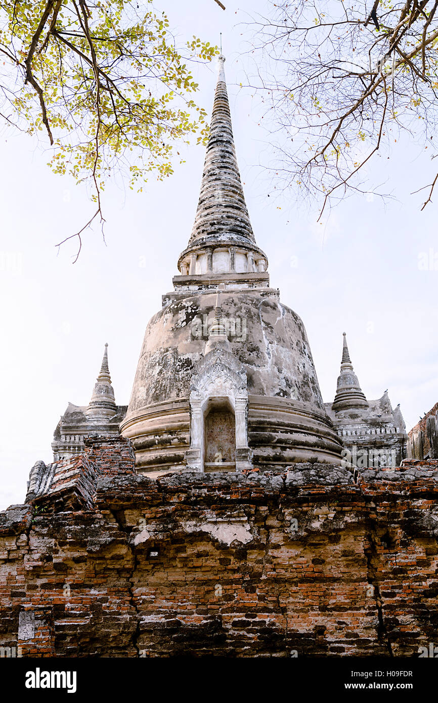 Stupa (Chedi) à Wat Mahathat, Ayutthaya, UNESCO World Heritage Site, Thaïlande, Asie du Sud, Asie Banque D'Images