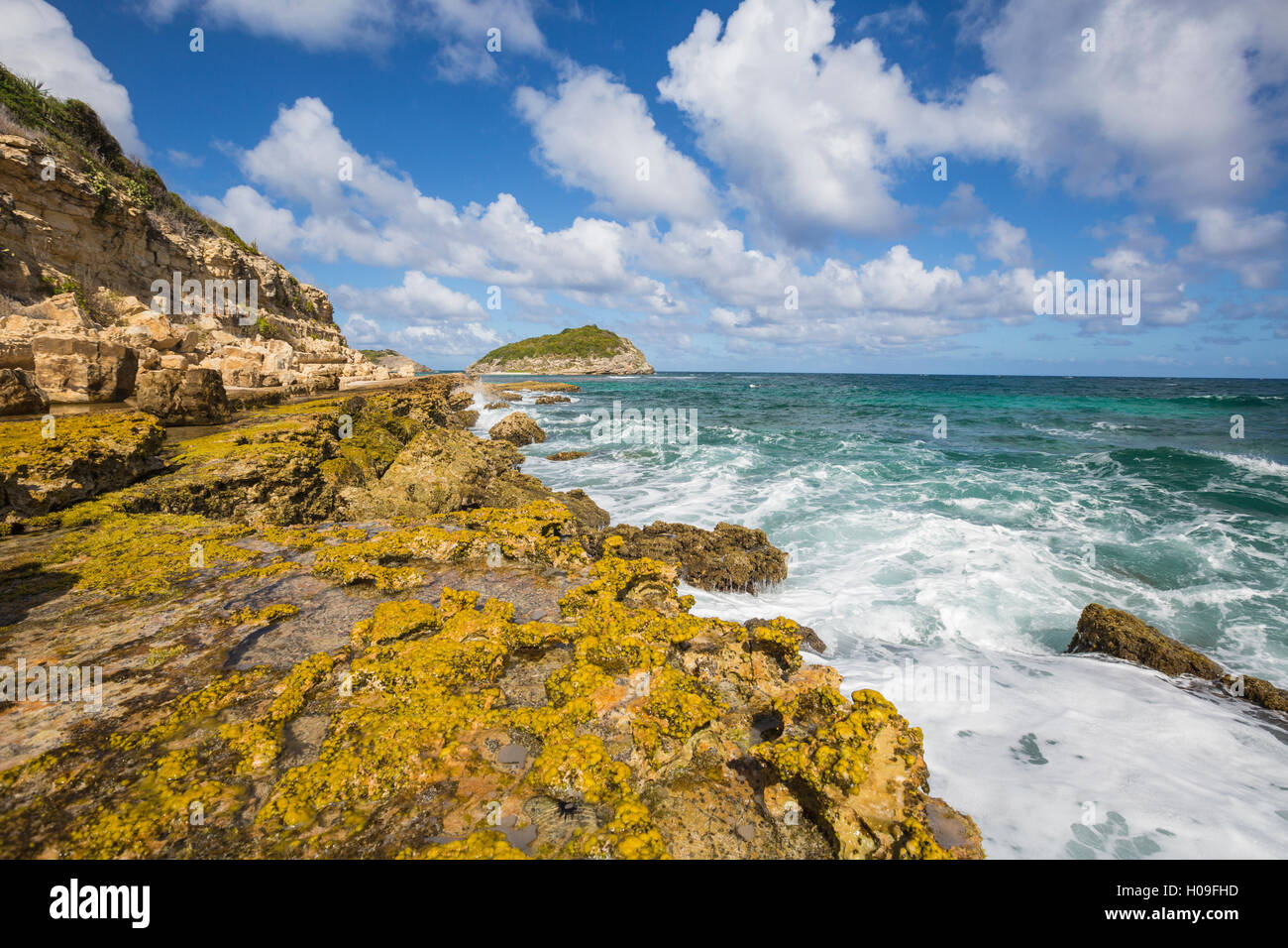 Les vagues de la mer des Caraïbes s'écraser sur les falaises, Half Moon Bay, Antigua-et-Barbuda, Antilles, îles sous le vent Banque D'Images
