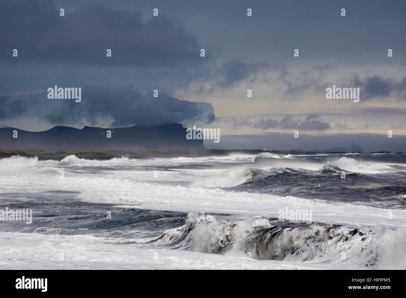 La plage de Vik, l'Islande, les régions polaires Banque D'Images