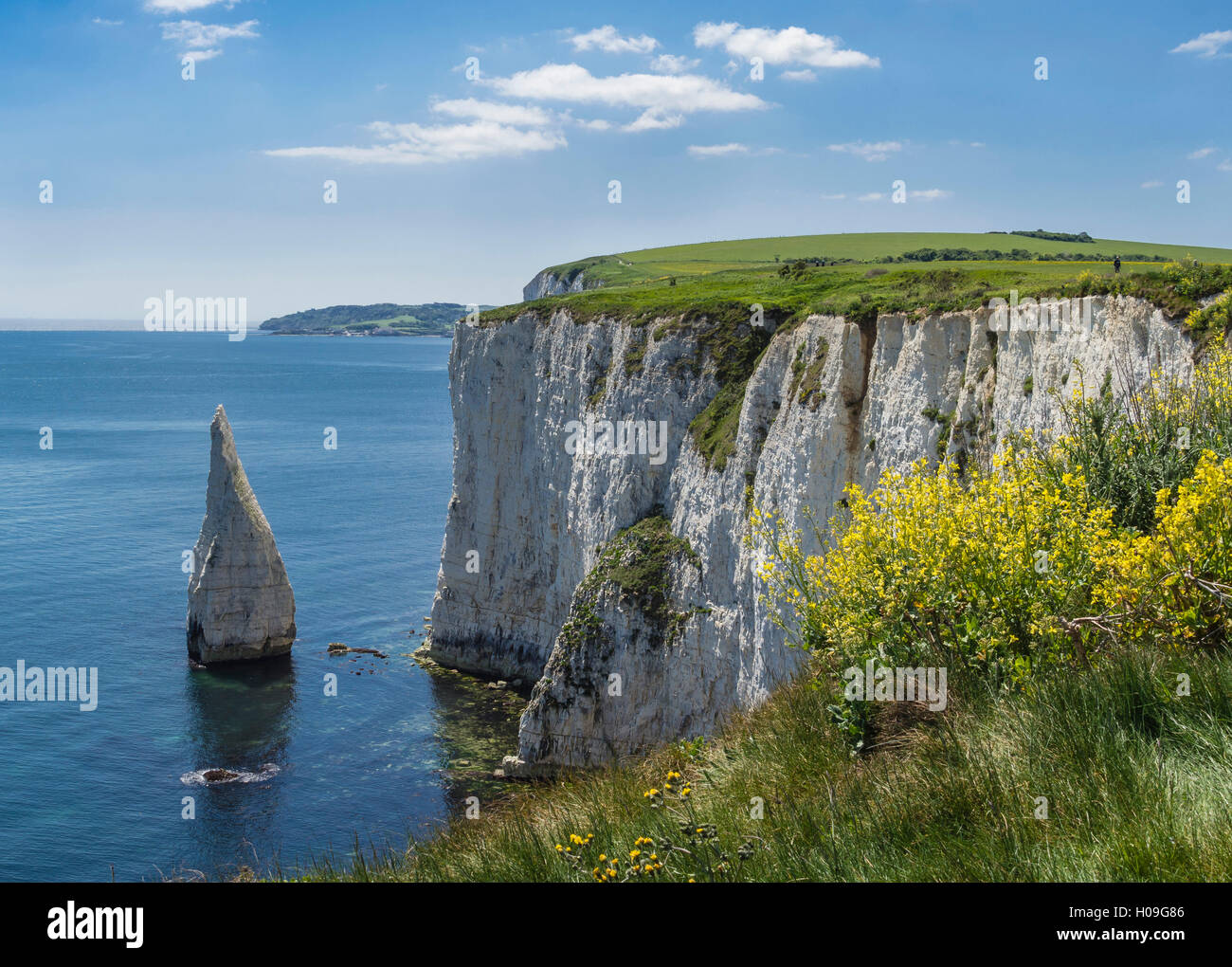 Les falaises de craie de Ballard vers le bas avec les pinacles pile dans la baie de Swanage, à l'île de Purbeck, Jurassic Coast, l'UNESCO, Dorset, UK Banque D'Images