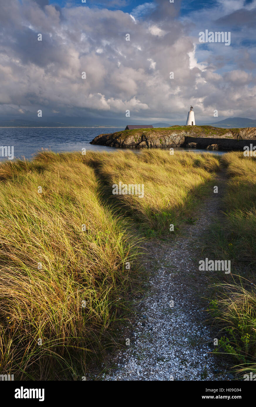 Un sentier côtier menant à Twr Mawr phare sur l'île Llanddwyn, Anglesey, Pays de Galles, Royaume-Uni, Europe Banque D'Images