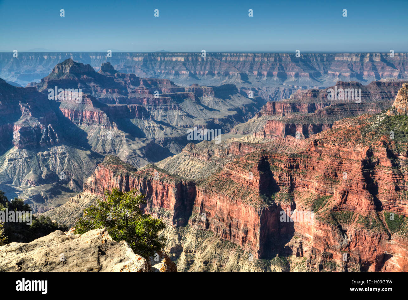 De Bright Angel Point, North Rim, le Parc National du Grand Canyon, UNESCO World Heritage Site, Arizona, USA, Amérique du Nord Banque D'Images