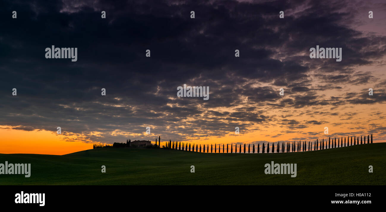 Paysage toscan avec des cyprès et ferme au lever du soleil, l'aube, San Quirico d'Orcia, Val d'Orcia, Toscane, Italie Banque D'Images