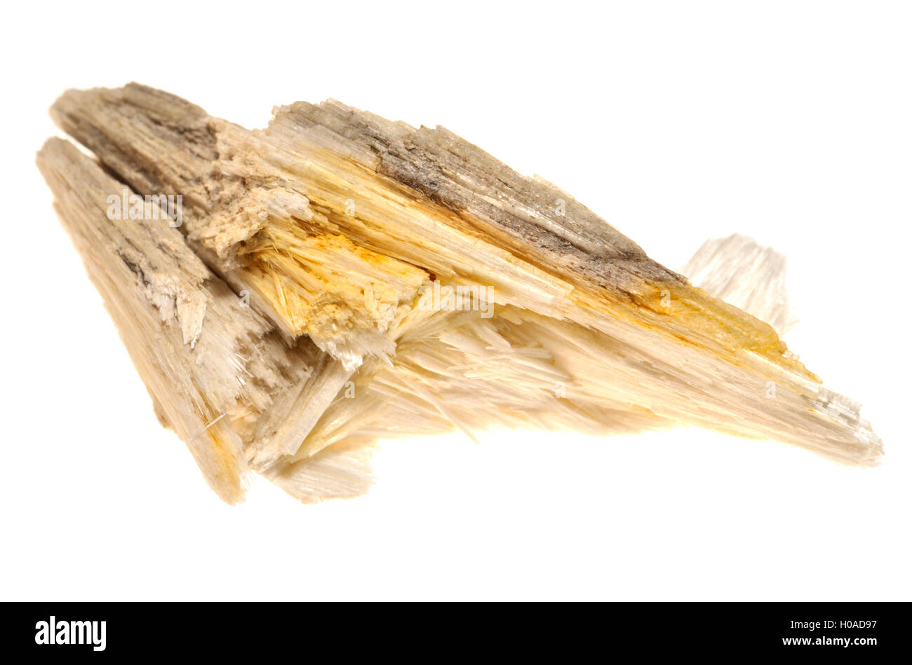 Cristaux de wollastonite (calcium inosilicate - CaSiO3) de Madagascar. Nommé d'après William Hyde Wollaston minéralogiste anglais. Banque D'Images