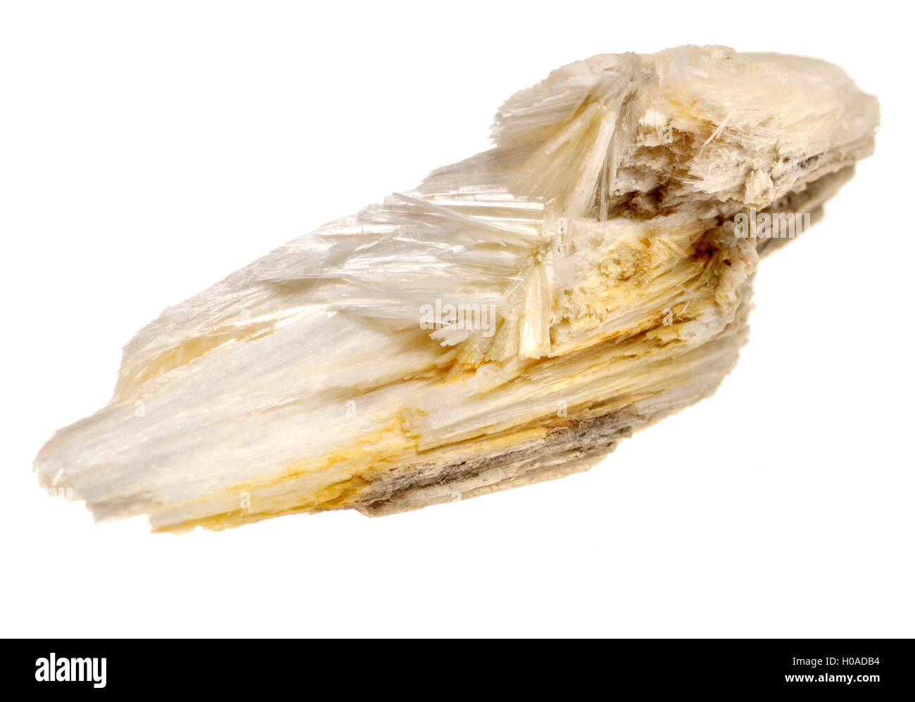 Cristaux de wollastonite (calcium inosilicate - CaSiO3) de Madagascar. Nommé d'après William Hyde Wollaston minéralogiste anglais. Banque D'Images