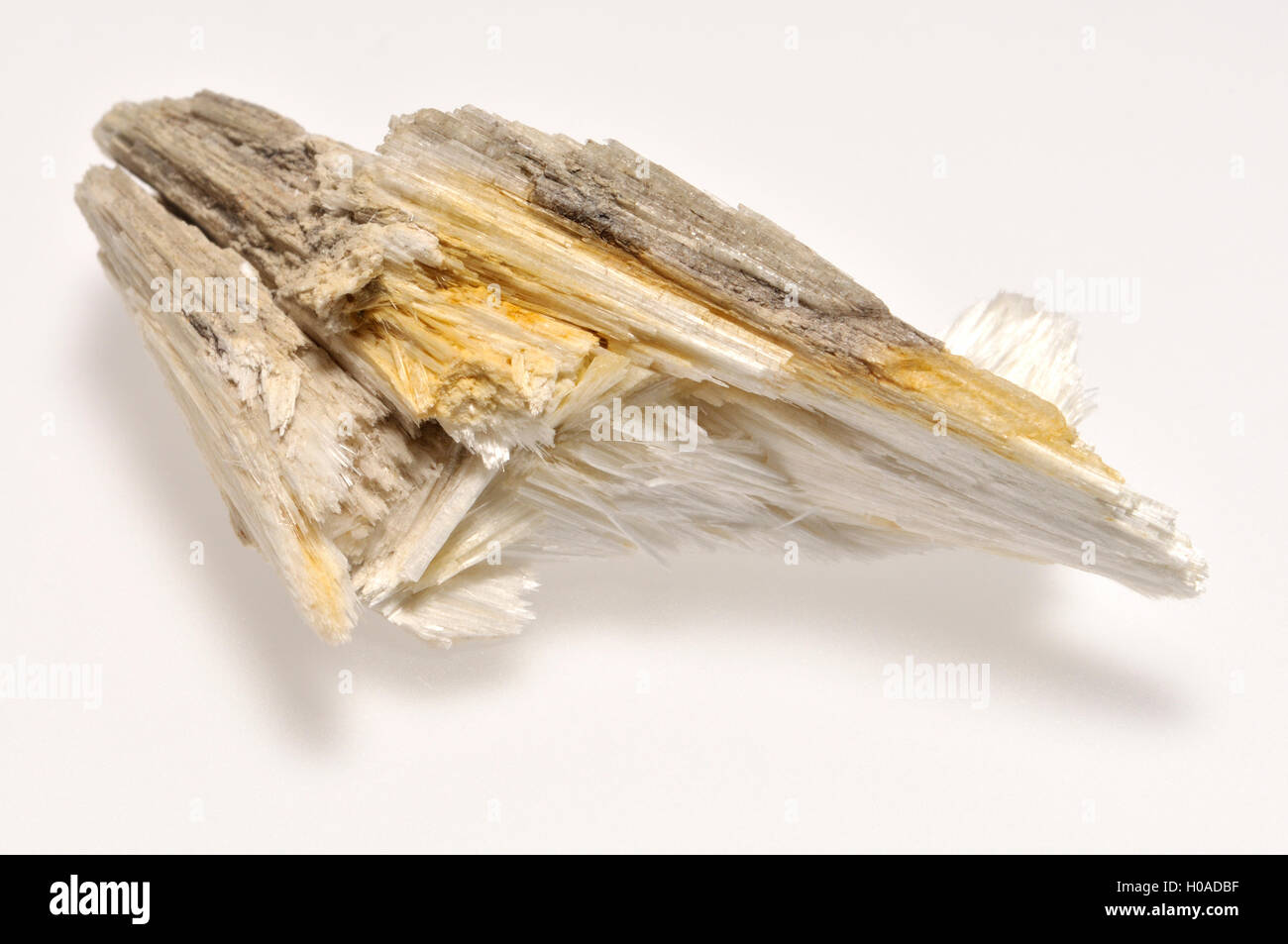 Cristaux de wollastonite (calcium inosilicate - CaSiO3) de Madagascar. Nommé d'après William Hyde Wollaston minéralogiste anglais. Banque D'Images