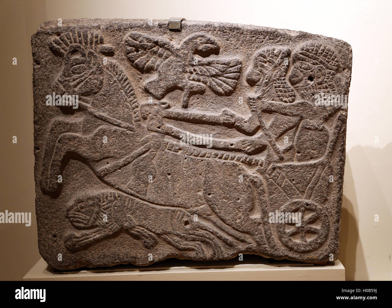 République du Nord. Orthostates soulagement. Scène de chasse au lion. Basalte. Tell Halaf. Mur de Temple Palace. Période Hittite. 850-830 B.C. Banque D'Images