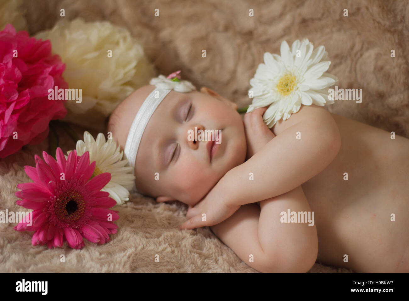 Bebe Endormi Dans Les Fleurs Photo Stock Alamy
