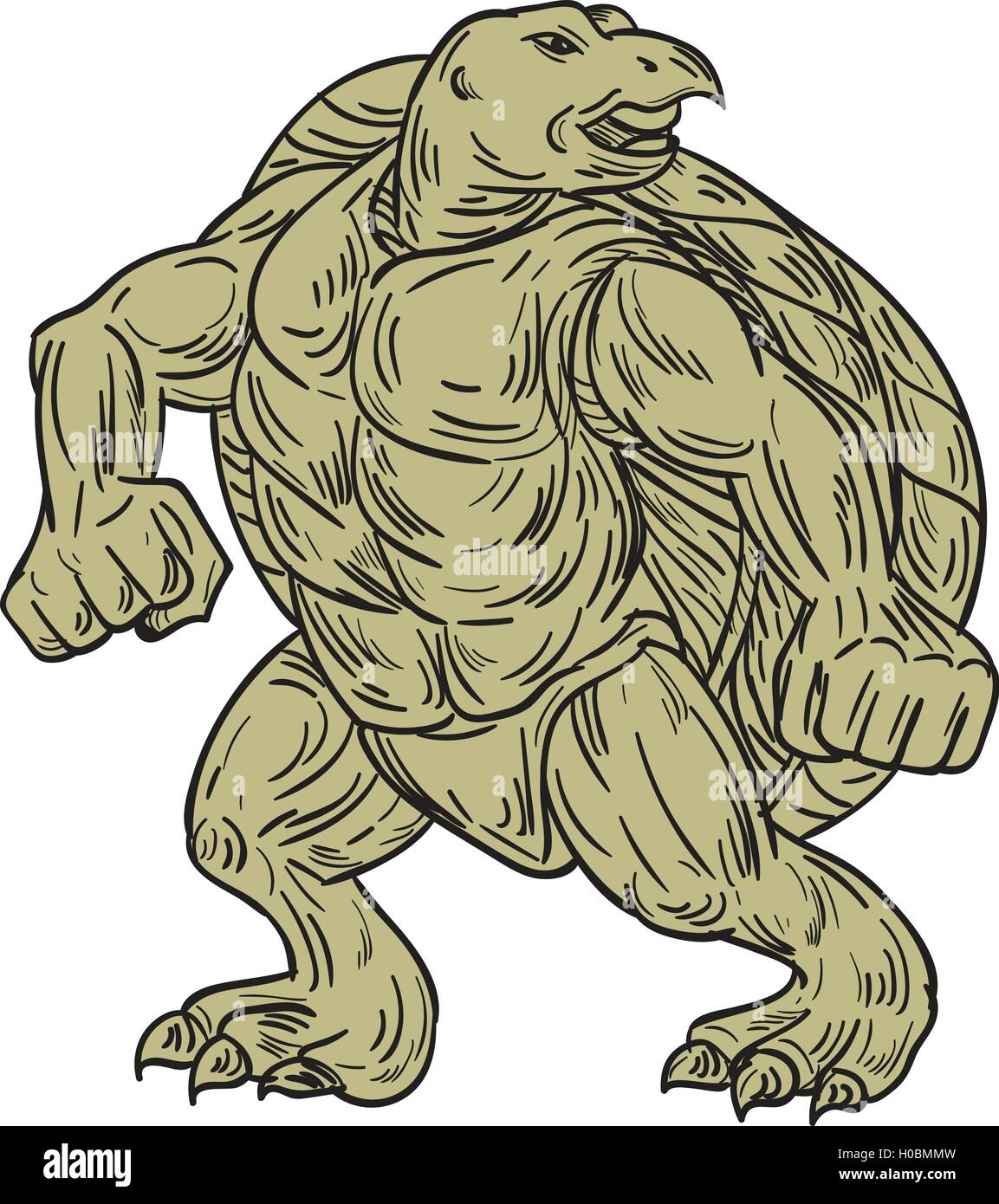 Style croquis dessin illustration d'une tortue de Kemp Lepidochelys kempii tortue de mer ou dans une position d'arts martiaux vu de l'avant ensemble isolées sur fond blanc. Illustration de Vecteur