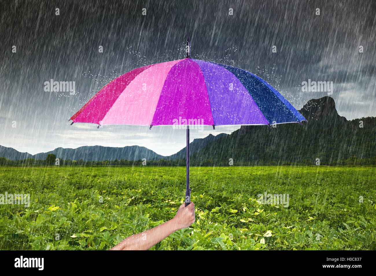 Main tenant parapluie multicolore avec la pluie à Khao Jeen Lae, big mountain à Lopburi, Thaïlande Banque D'Images