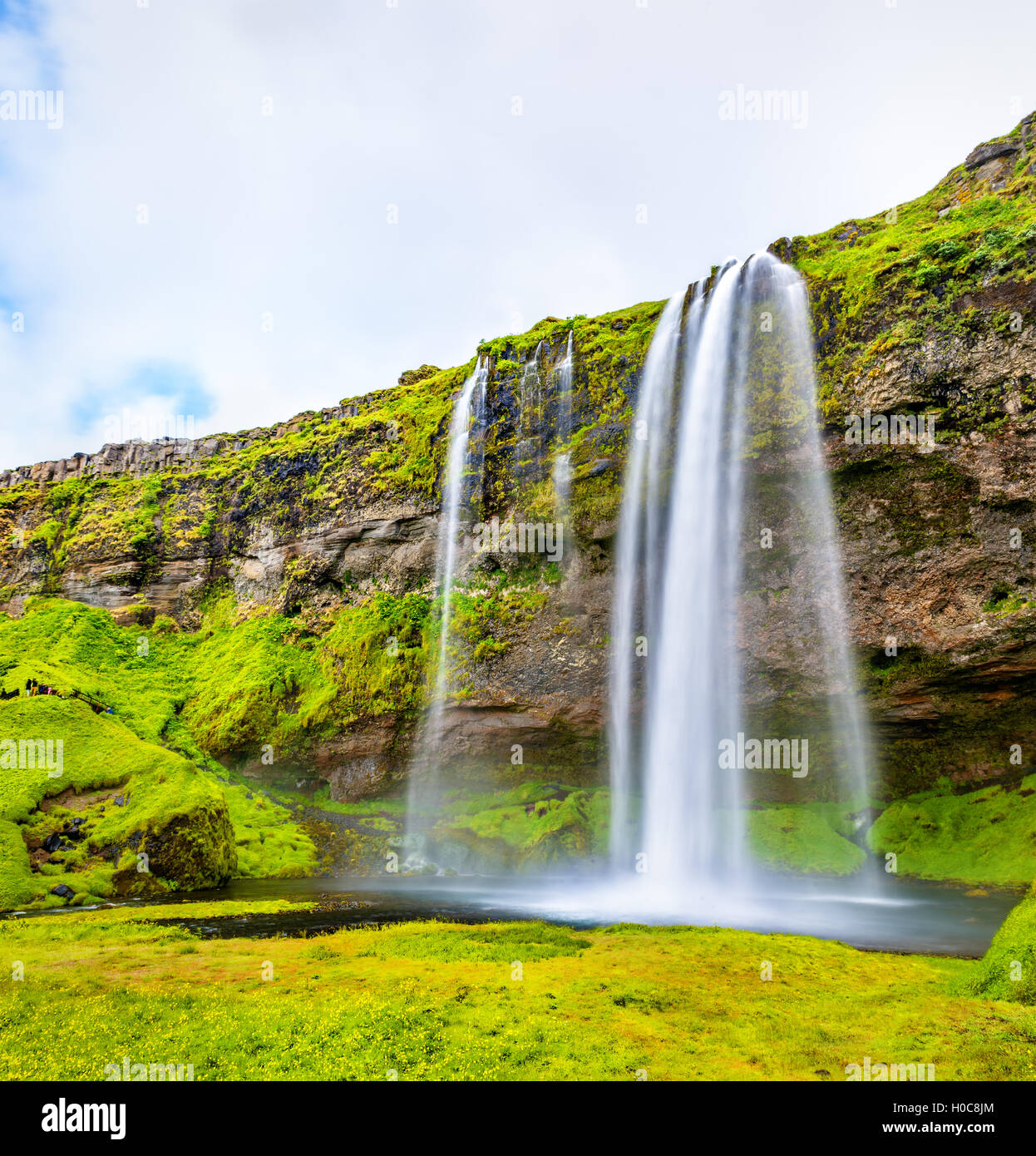Vue de la cascade de Seljalandsfoss - Islande Banque D'Images