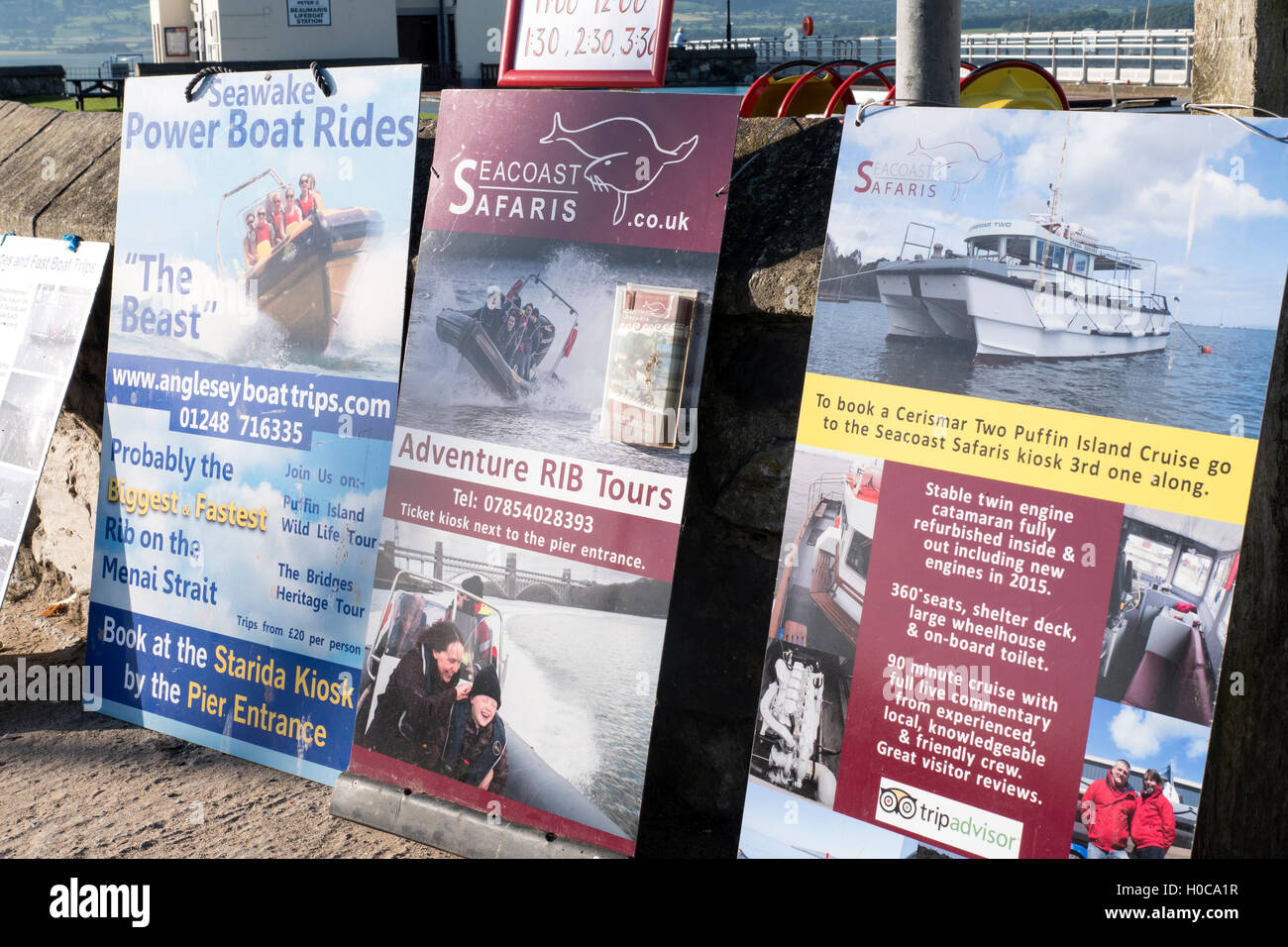 Des excursions en bateau pour Beaumaris Puffin Island Gwynedd au Pays de Galles Banque D'Images