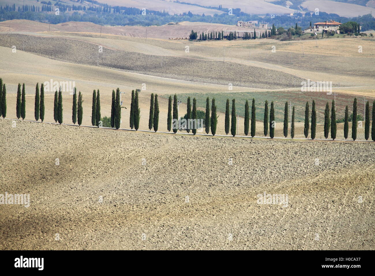 Paysage de Toscane avec villa de luxe et cipress Banque D'Images