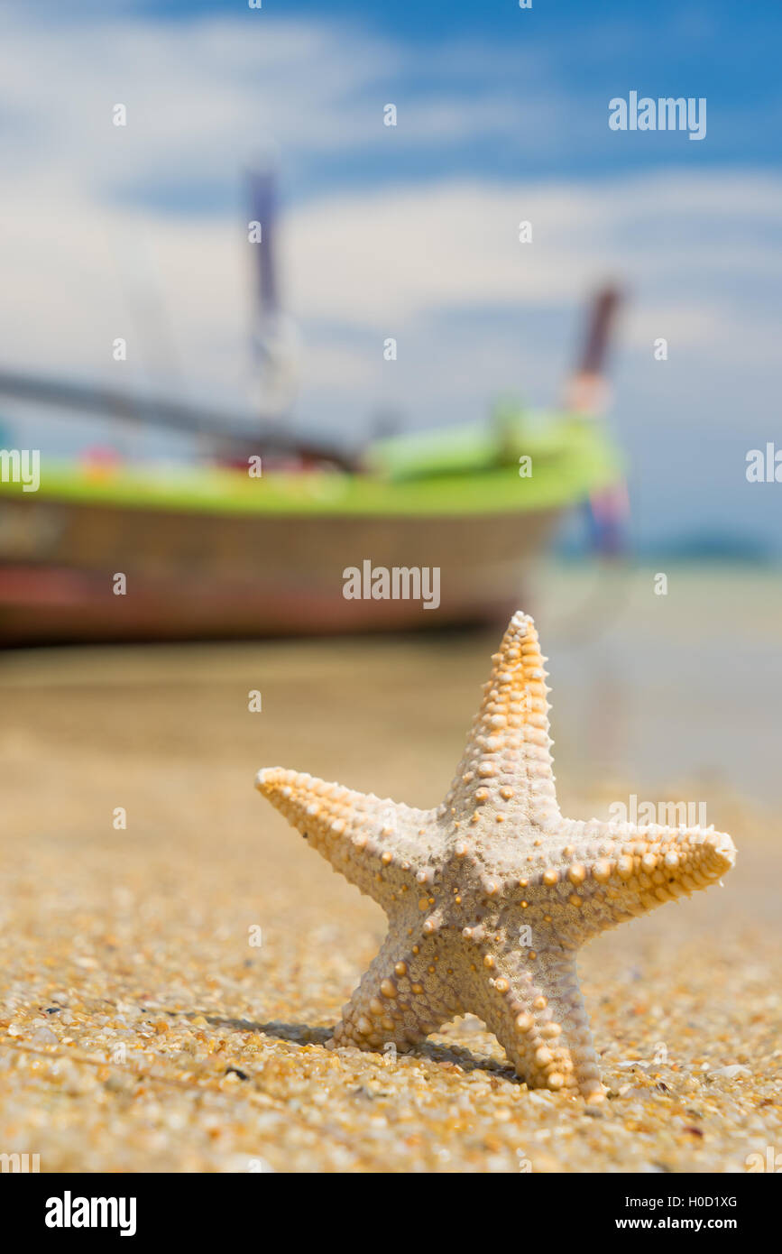 Étoile de mer sur la plage de sable des caraïbes avec long tail boat on background Banque D'Images