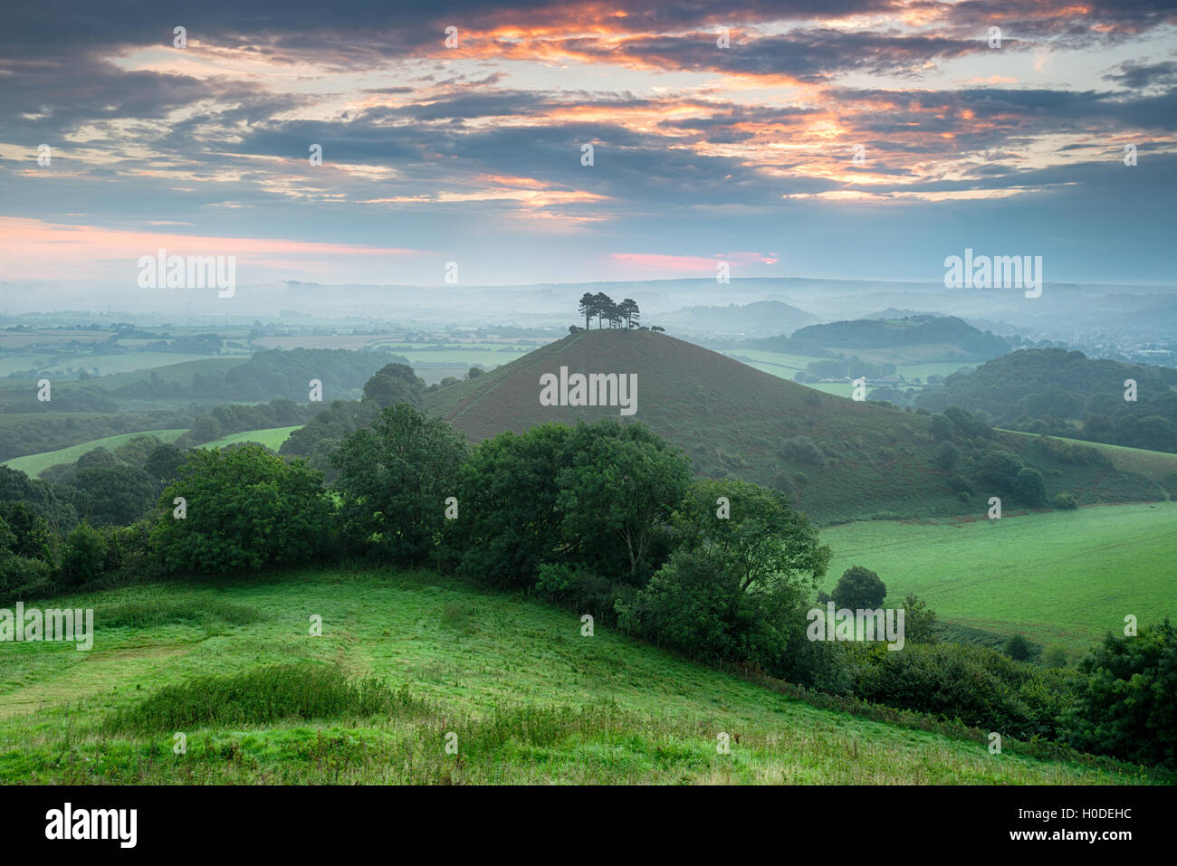 Un lever de soleil sur l'orageux Colmer's Hill à Symondsbury près de Bridport Dorset dans Banque D'Images