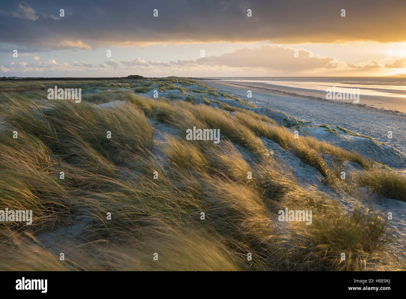 West Wittering Beach, West Wittering, West Sussex, England, UK Banque D'Images