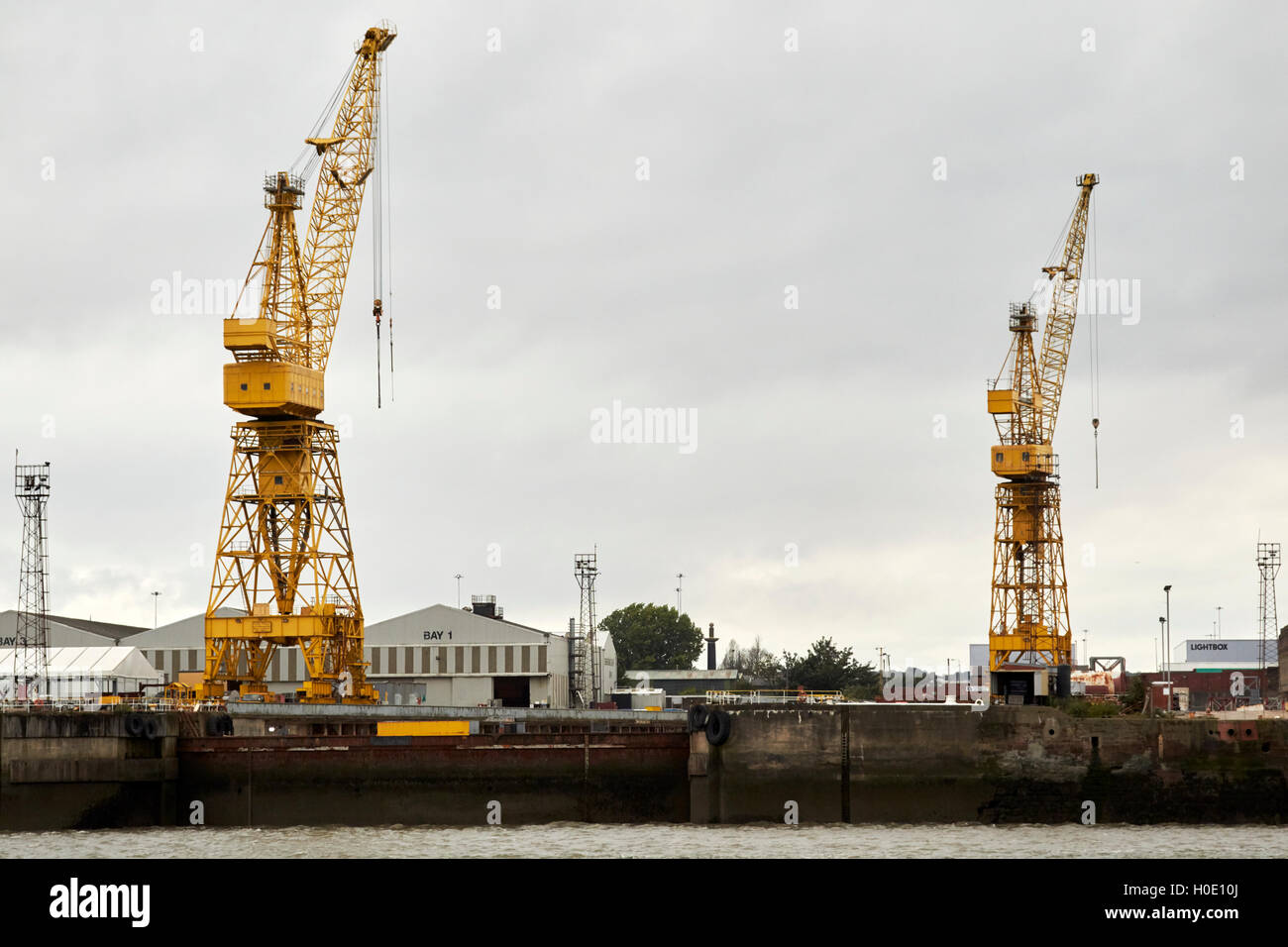 Les grues de chantier naval Cammell Laird birkenhead Liverpool Merseyside UK Banque D'Images