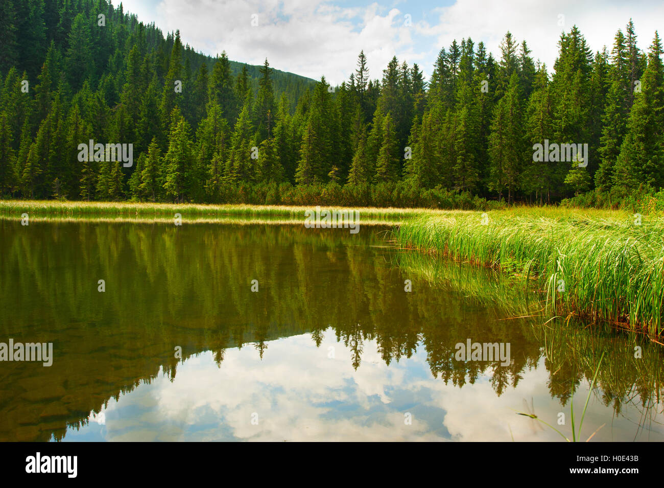 Maricheika montagnes lac dans la journée ensoleillée. L'Ukraine Banque D'Images