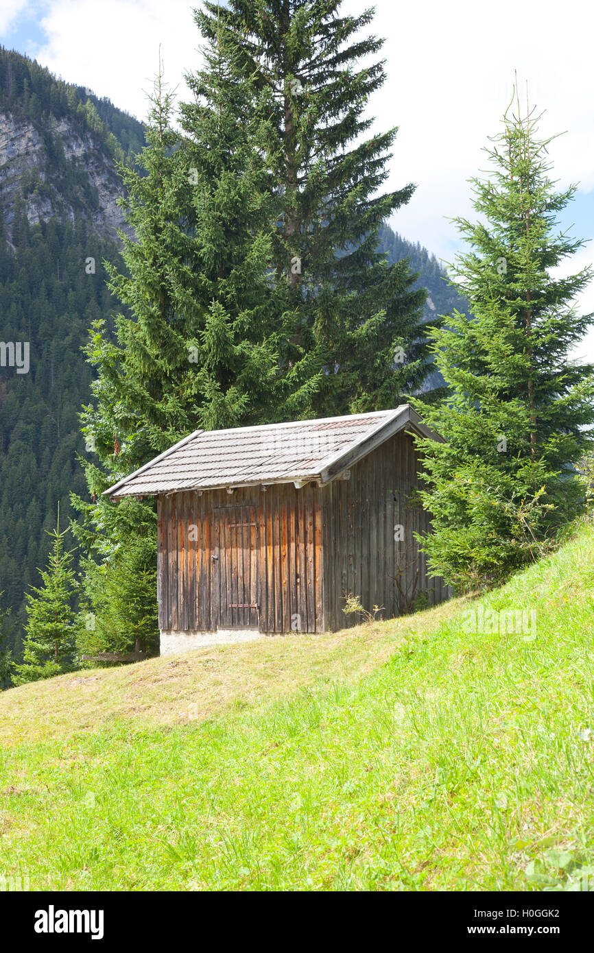 Chalet en bois avec green mountain in Tirol, Autriche Banque D'Images